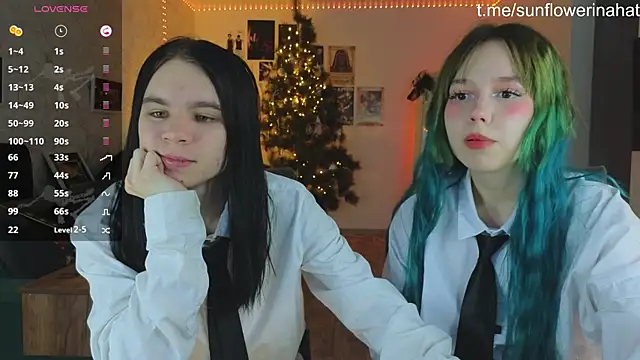 812sunflowerinahat online show from December 10, 5:28 am