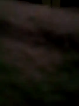 BIGBLACKCOOCK24- online show from March 2, 5:01 am