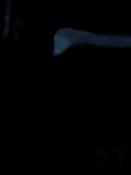 Snapshot of Antor1234 chatting on February 23, 5:07 pm Antor1234 online show from February 23, 5:07 pm