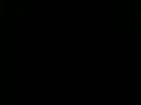 Snapshot of culalimer chatting on November 15, 1:26 pm culalimer online show from November 15, 1:26 pm