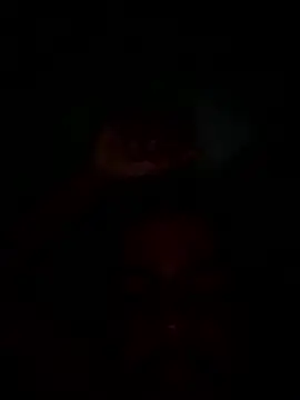 guimvx online show from January 16, 2:48 am