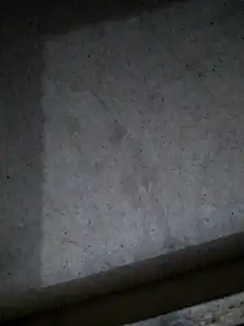 Leocesar37 online show from March 11, 3:44 am