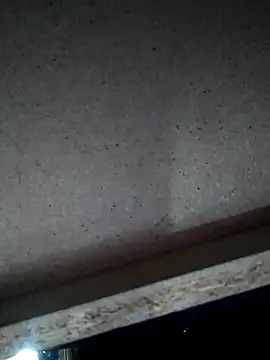 Leocesar37 online show from November 15, 4:49 am