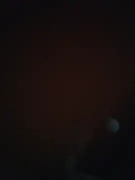 Leocesar37 online show from December 5, 6:56 am