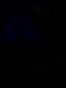 Leocesar37 online show from April 3, 4:57 pm