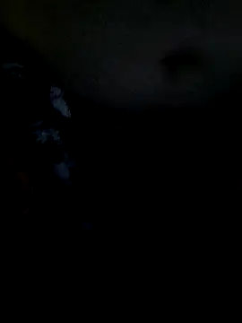 Leocesar37 online show from December 19, 3:03 pm