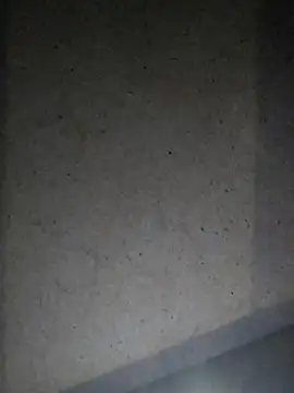 Snapshot of Leocesar37 chatting on July 18, 6:11 am Leocesar37 online show from July 18, 6:11 am
