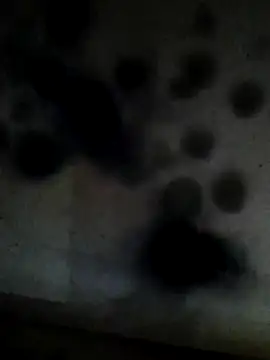 Leocesar37 online show from February 10, 6:01 am