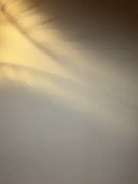 lola tentatiion online show from February 17, 9:01 pm