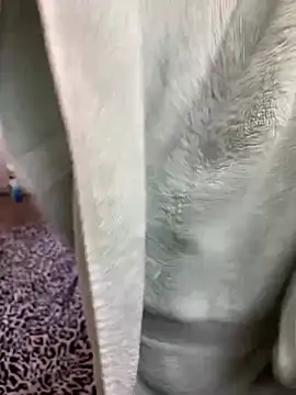 Mingtian4117 online show from January 14, 1:48 pm