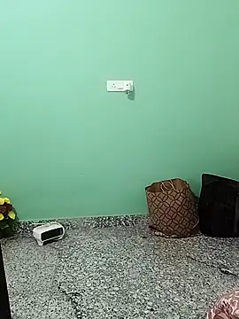 Saroj-Shah online show from November 15, 3:05 pm