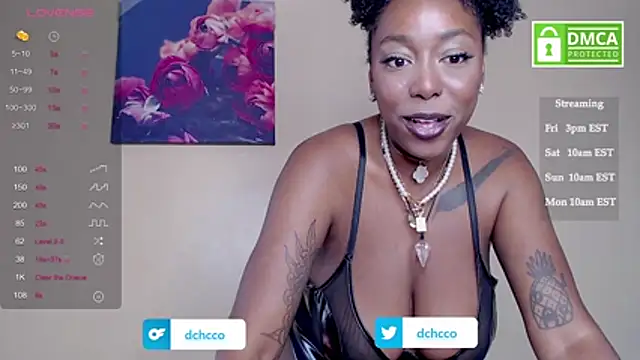 dchcco online show from November 8, 4:32 pm