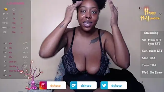 dchcco online show from November 1, 3:06 pm