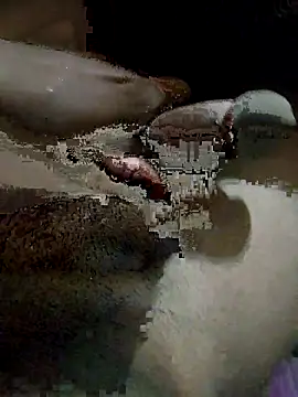 pusssyhub online show from December 4, 10:31 pm