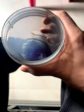 Snapshot of Privateseducer chatting on September 25, 3:34 am Privateseducer online show from September 25, 3:34 am