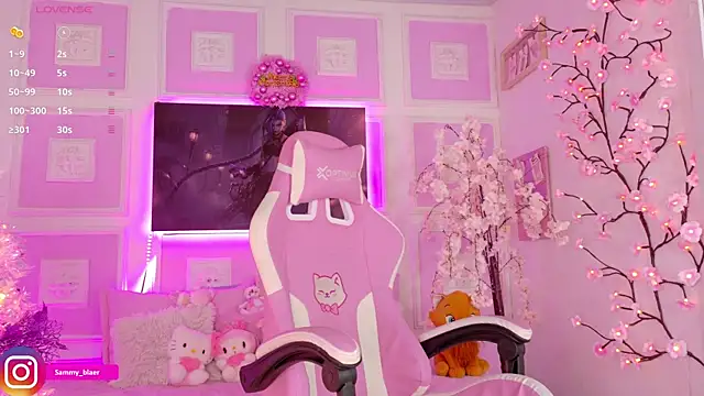 Sammyblaer online show from December 20, 9:06 pm