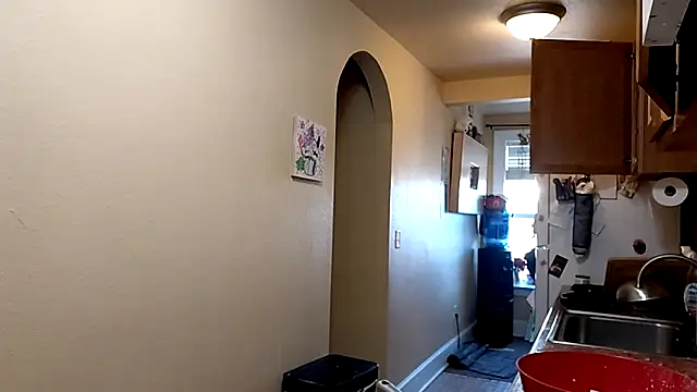 Lexxstacy online show from December 5, 3:10 pm