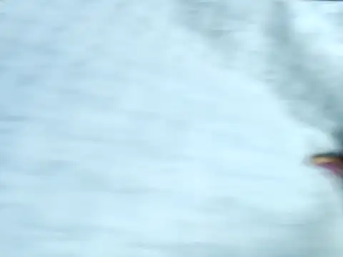 Muktha online show from October 14, 4:40 pm