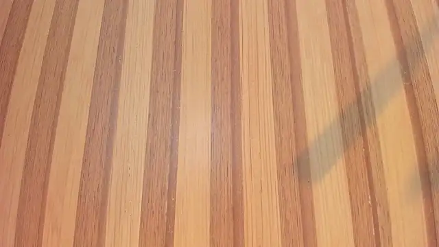 Taylor  cooper online show from February 9, 6:28 pm