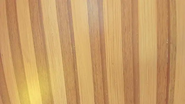 Taylor  cooper online show from February 7, 6:38 pm