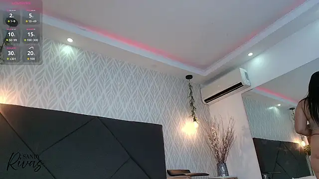 Snapshot of sandy_rivas chatting on November 30, 12:17 pm sandy rivas online show from November 30, 12:17 pm
