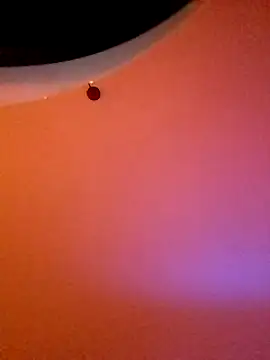 Maharajata1234 online show from December 14, 11:23 pm