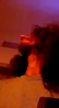 Maharajata1234 online show from December 13, 10:02 pm