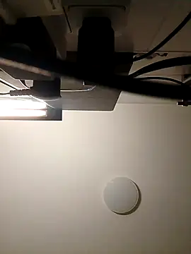 Maharajata1234 online show from December 15, 2:52 am