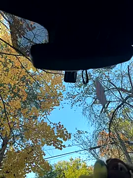 KBD85 online show from November 2, 8:58 pm