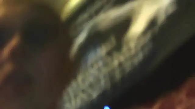 Snapshot of sexycockfiend777 chatting on November 22, 1:21 pm sexycockfiend777 online show from November 22, 1:21 pm