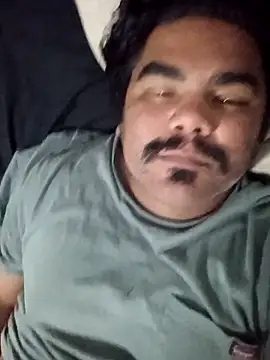 Snapshot of Brickstash chatting on October 9, 6:36 am Brickstash online show from October 9, 6:36 am