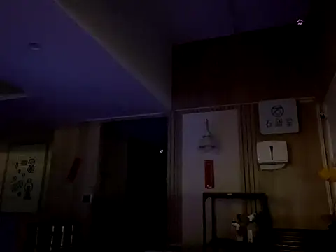 TaiwanSlutBitch online show from December 3, 1:36 am