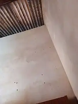 Snapshot of Viny459 chatting on December 15, 11:16 am Viny459 online show from December 15, 11:16 am