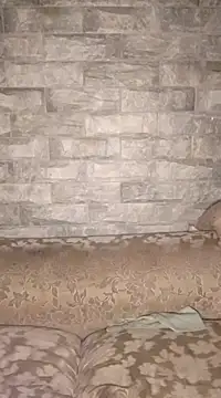 Ras and Stewf online show from February 22, 7:03 pm