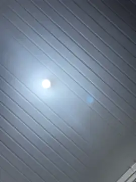 Snapshot of luara1988 chatting on December 15, 1:28 pm luara1988 online show from December 15, 1:28 pm