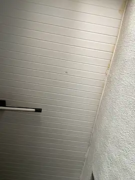 Snapshot of luara1988 chatting on November 12, 12:31 pm luara1988 online show from November 12, 12:31 pm