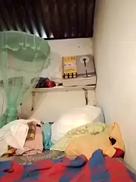 SL-WASI online show from November 4, 6:17 am