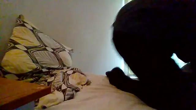 Snapshot of lusluk chatting on December 30, 3:34 pm lusluk online show from December 30, 3:34 pm