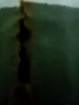 Snapshot of Honyogi chatting on November 14, 2:32 pm Honyogi online show from November 14, 2:32 pm