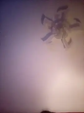 Fiesty findom40 online show from January 10, 2:29 am