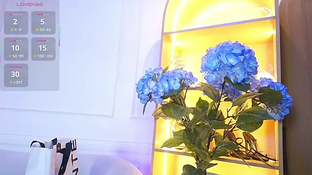 elasummer online show from November 28, 11:54 am