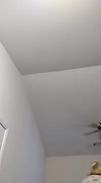 Snapshot of Playmate86 chatting on December 2, 5:32 am Playmate86 online show from December 2, 5:32 am