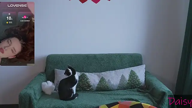 CookyDaisy online show from February 9, 7:15 am