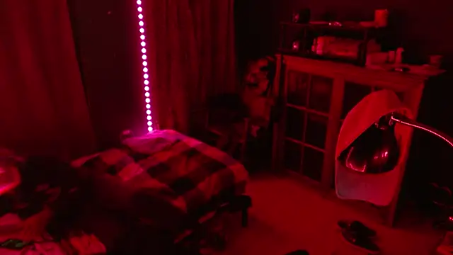        the online show from December 17, 10:20 am