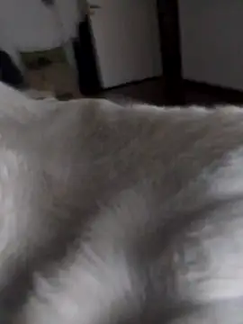 Snapshot of BURN666ING chatting on March 10, 6:50 am BURN666ING online show from March 10, 6:50 am