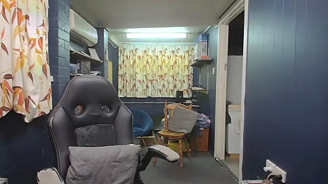 tilobinder online show from October 8, 1:56 pm