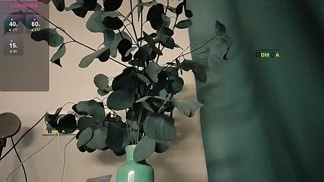 Your dream Alice online show from February 25, 7:49 pm