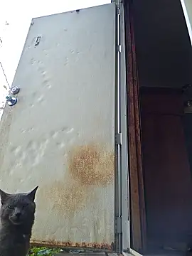 Snapshot of Beyond1978 chatting on November 15, 4:33 pm Beyond1978 online show from November 15, 4:33 pm