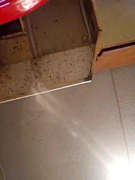 Snapshot of Beyond1978 chatting on November 13, 8:35 pm Beyond1978 online show from November 13, 8:35 pm