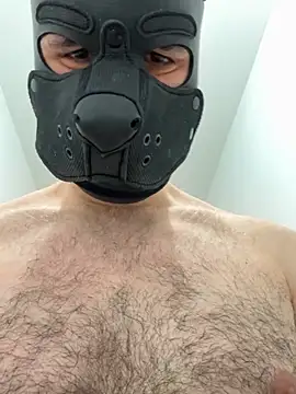 FrenchCamDog online show from April 6, 2:29 pm